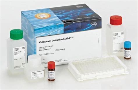 apoptosis cell death detection elisa plus kit|Roche’s Cell Death Detection ELISAPLUS Kit .